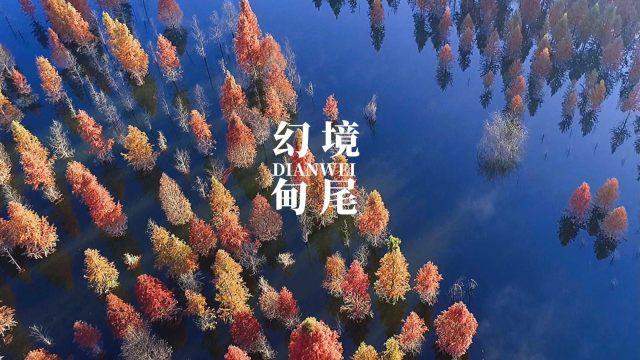 一图读懂 | 《关于进一步推进农村生活污水治理的指导意见》