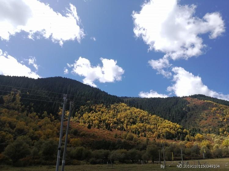 《幻兽帕鲁》的红与黑：5天捞金15亿 宝可梦坐不住了