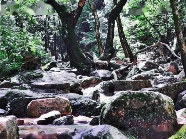 小心“中年返贫”