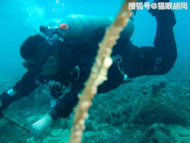 盐津“订单蔬菜”为乡村振兴添动力