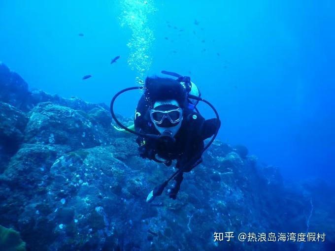 小猫钓鱼游戏龙王版有船
