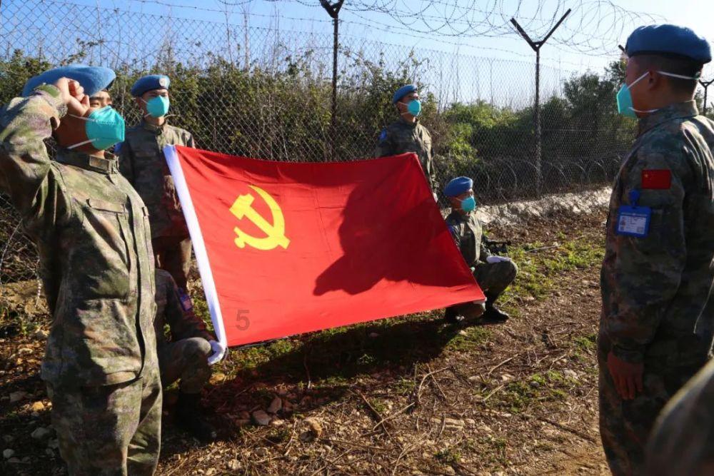 照顾小兔宝宝