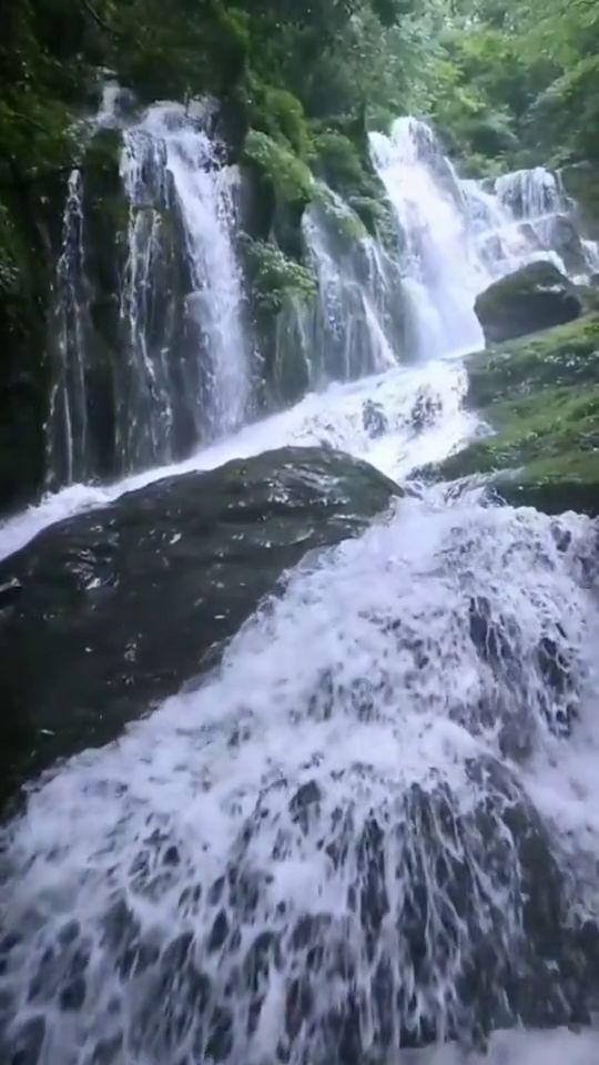 逃离沙地