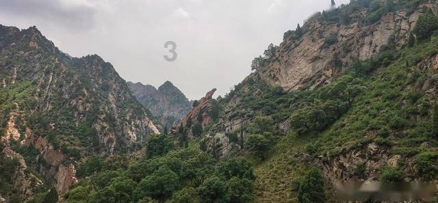 李商隐《蝉》第四句为什么被誉为神句？你的看法是什么？