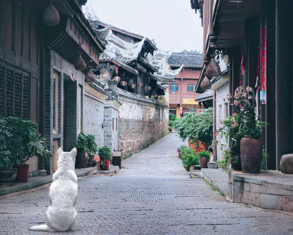 美丽乡村别墅逃生